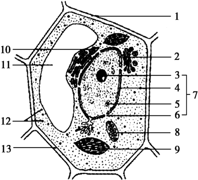 医疗环境